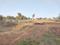 Gallery Cover Pic of Mahamumbai Plots In Khopata Township