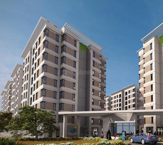 Brigade Cedar Project Images