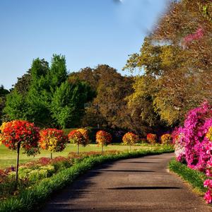 Gallery Cover Pic of Elite Park