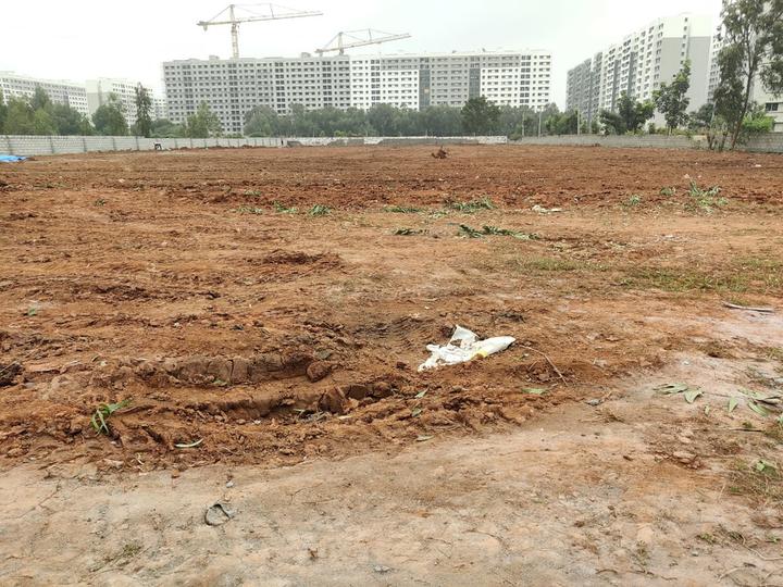 Gallery Cover Pic of Prithvi Silver Wood