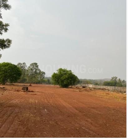 Gallery Cover Pic of Century Trails Phase 2