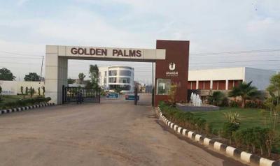Ubber Golden Palm Premium Project Images