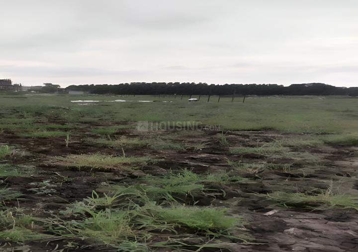 Gallery Cover Pic of Green Luxuria