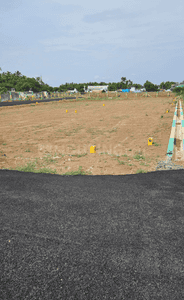 Kannas Avenue Project Images