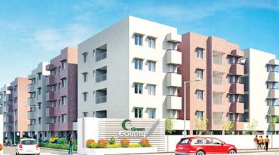 Green County Phase 1 Project Images