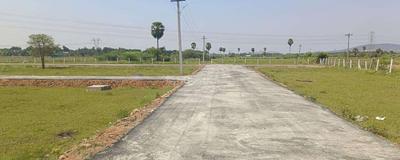 Gallery Cover Pic of Baruk Nagar Phase II
