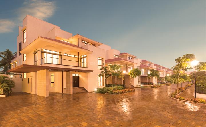 Olympia Panache Images for Project 1