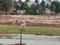 Adarsh Garden Estate Elevation 1