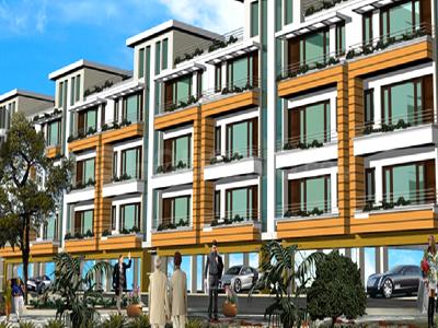 Dara D Homes