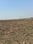 Invest Mahamumbai Plots In Khopate Elevation 1