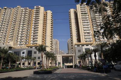3 BHK Flat
