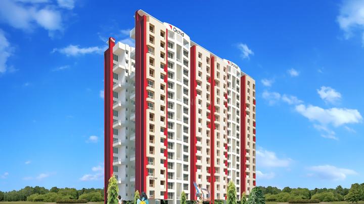 Gallery Cover Pic of Jangid Orchid