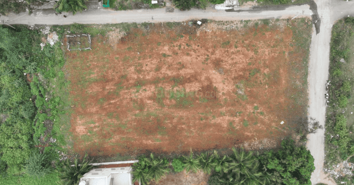 Gallery Cover Pic of Harnika Layout