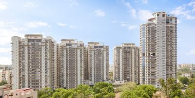 Morning Emerald Garden