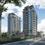 Gallery Cover Pic of Shaly Sky Deck