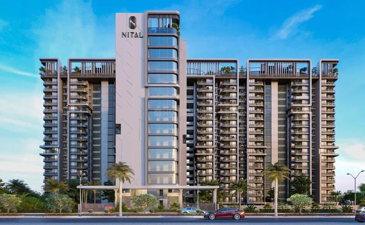 Gallery Cover Pic of Ashish Nital