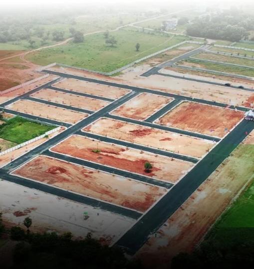 Gallery Cover Pic of Sameera Prime