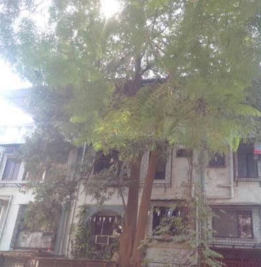 Subhash Mohilla More Images 1