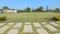 Gallery Cover Pic of IAP Forest Trail Phase 1