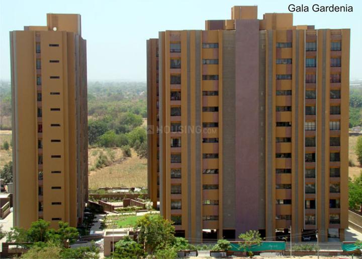 Gallery Cover Pic of Gala Gardenia