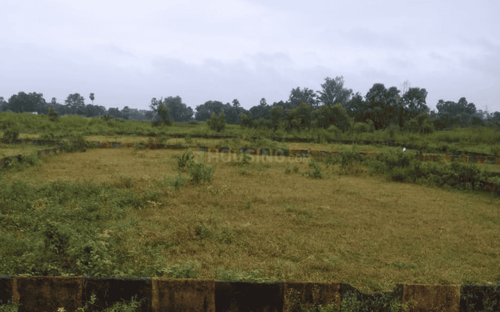 Gallery Cover Pic of Aman Haris Nagar