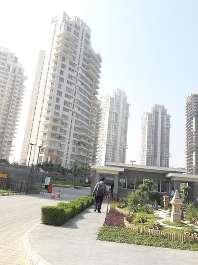 Gallery Cover Pic of Pioneer Araya