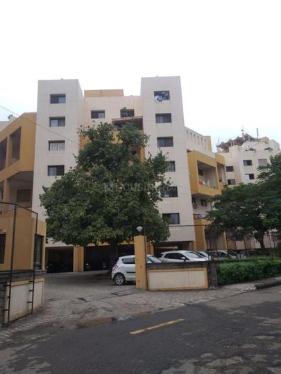 Gallery Cover Pic of Daffodils