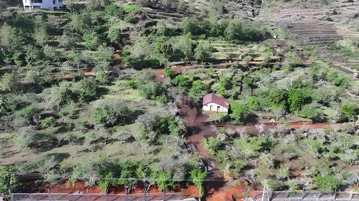 Gallery Cover Pic of Kali Crown Boulevard