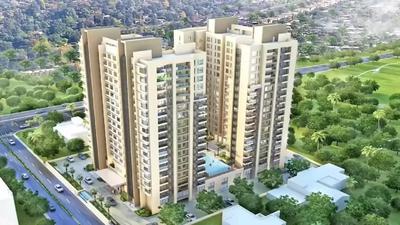 Ceebros The Atlantic