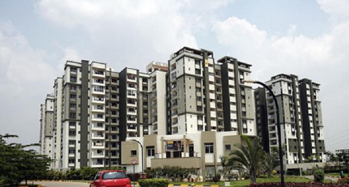 Gallery Cover Pic of Sobha Daffodils