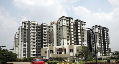 Gallery Cover Pic of Sobha Daffodils