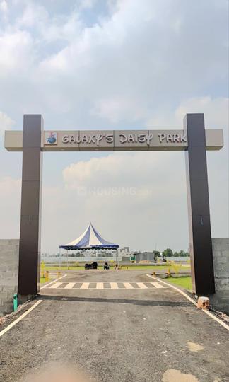 Gallery Cover Pic of Daisy Park