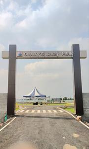 Daisy Park
