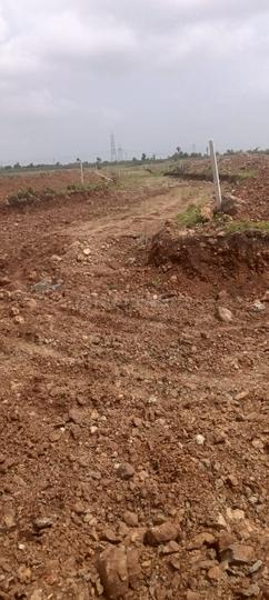 Gallery Cover Pic of Kanchi Anand Hills View