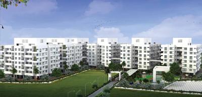 Anshul Ela E Building