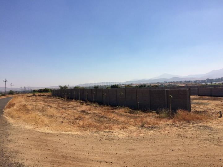 Gallery Cover Pic of Blue Arishna