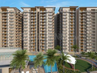 Gallery Cover Pic of Silver Palm