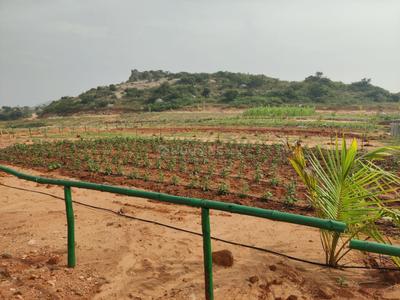 Residential Lands for Sale in Sanvi Sandalwood
