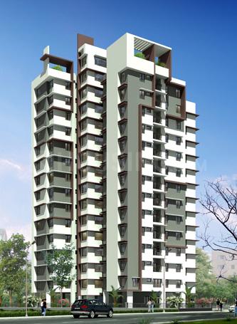 Crescent Aster Elevation 1