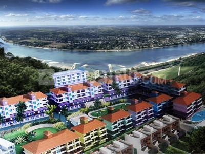 Project Image of 865 Sq.ft 2 BHK Apartment / Flat for sale in Consua for Rs. 4500000