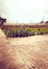 Residential Lands for Sale in Rajmata Annapurna Nagar Colony