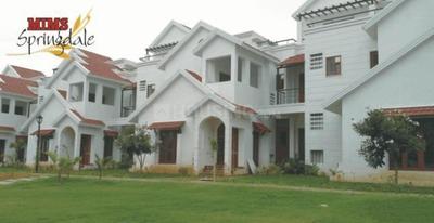 MIMS Springdale More Images 1
