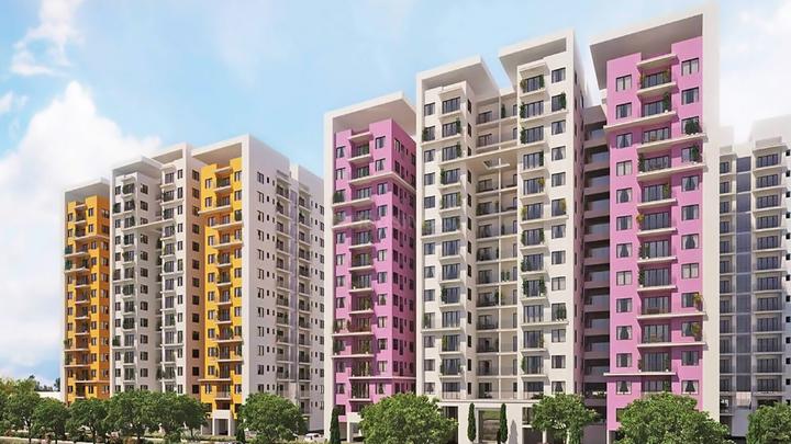 Gallery Cover Pic of Incor PBEL City Aroa