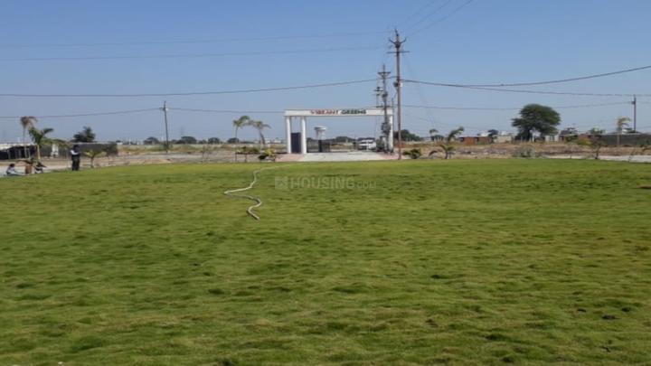 Gallery Cover Pic of Vibrant Greens