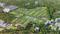 Gallery Cover Pic of VBHC Landscape