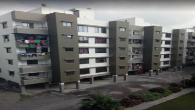 Global City Project Images