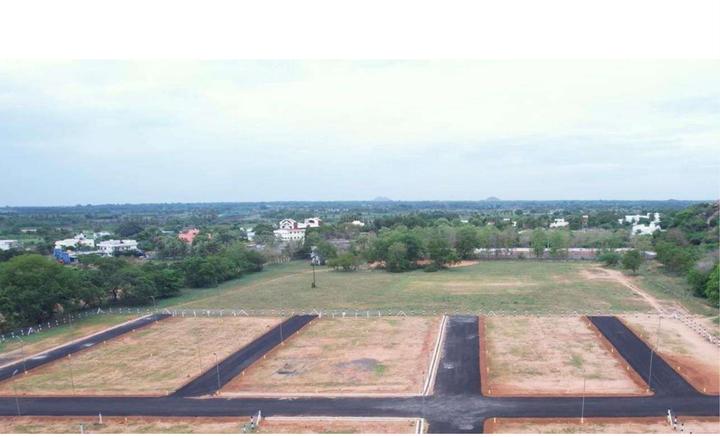 Gallery Cover Pic of Anna Nagar