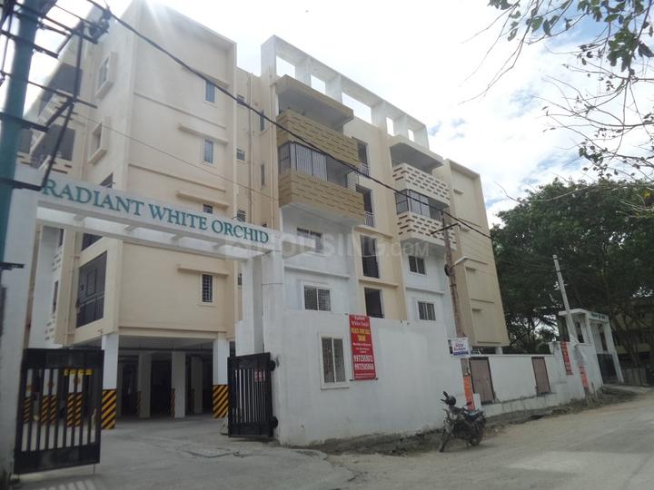 Radiant White Orchid Elevation 1