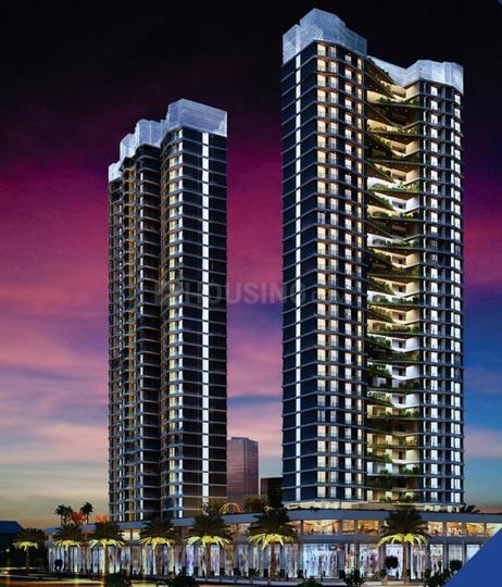 Gallery Cover Pic of Rosa Manhattan Phase 3