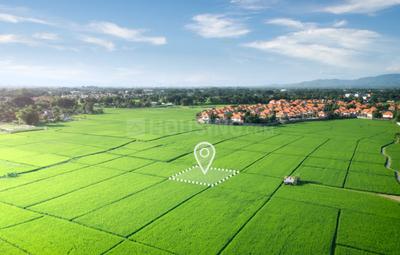 Residential Plot